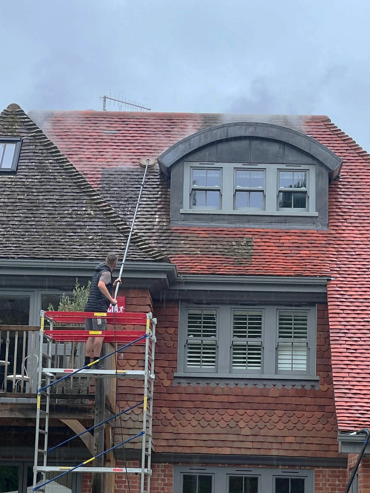 Professional roof steam cleaning treating a moss-covered roof