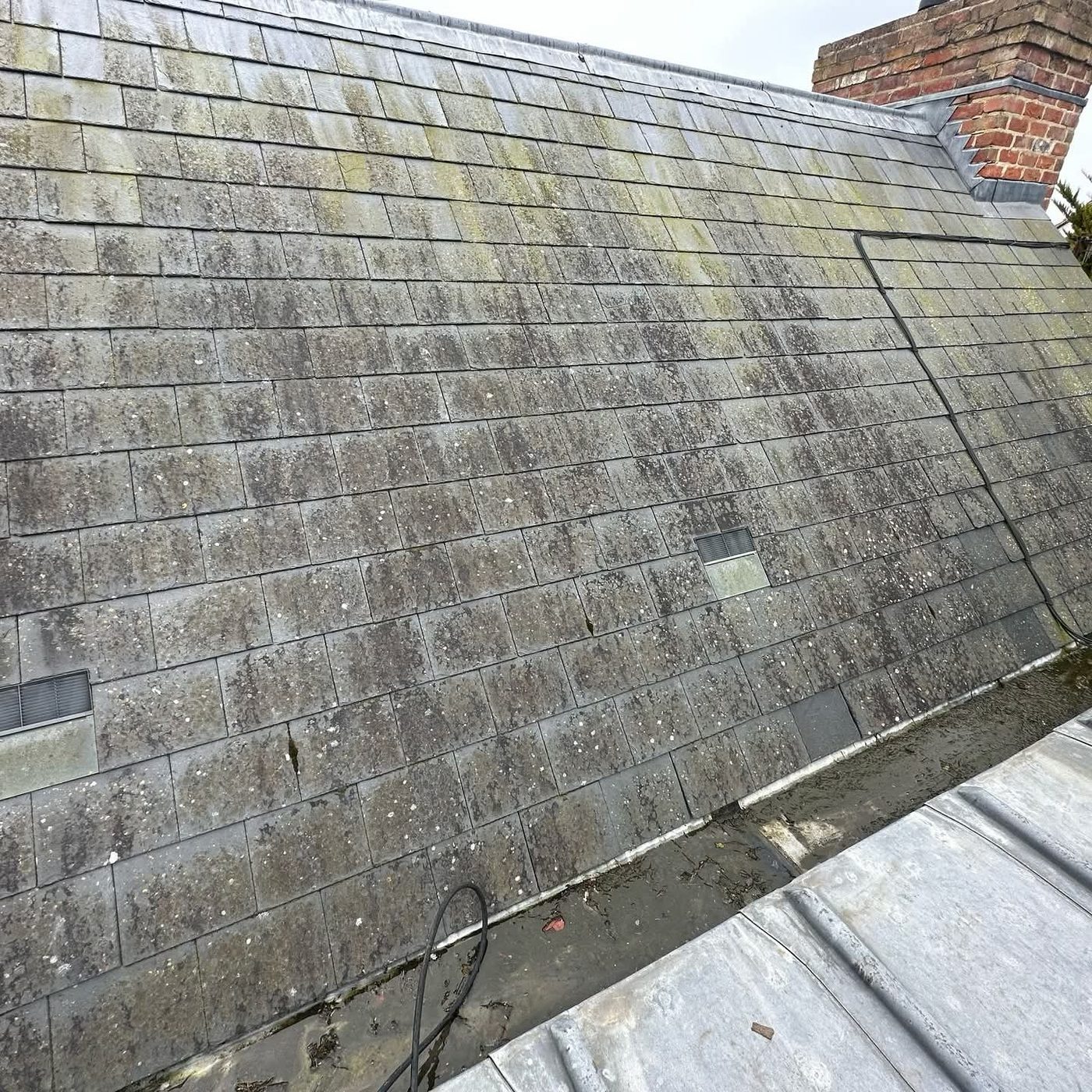 A tiled roof heavily covered in moss before treatment